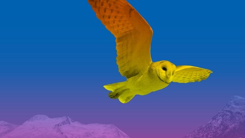 Animaux en vedette dans la zone ICI EXPLORA