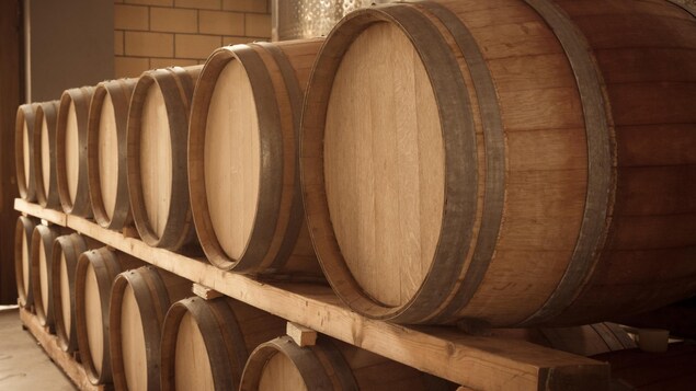 Ces bières sont habituellement vieillies en fûts de chêne. Les micro-organismes s'y trouvant contribuent également au goût du produit fini. Ces bières sont habituellement vieillies en fûts de chêne. Les micro-organismes s'y trouvant contribuent également au goût du produit fini.