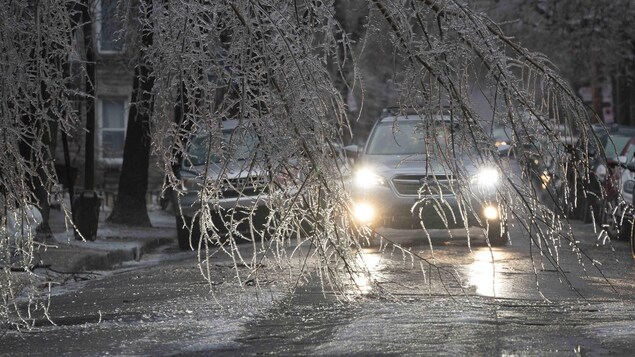 Tormenta De Hielo Deja A M S De Un Mill N De Personas Sin Electricidad