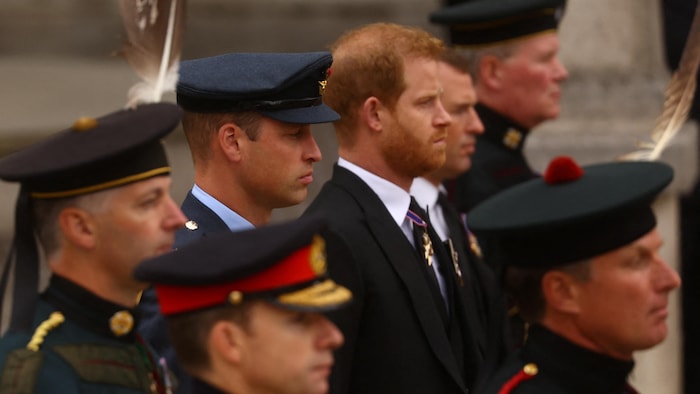 Au Royaume Uni le prince Harry accusé de vouloir détruire la famille