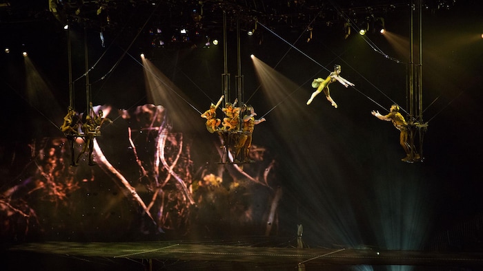 Le Cirque du Soleil en tournée avec OVO les dessous dun spectacle