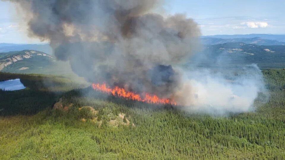 La foudre a déclenché 14 nouveaux feux de forêt au Yukon Radio Canada ca