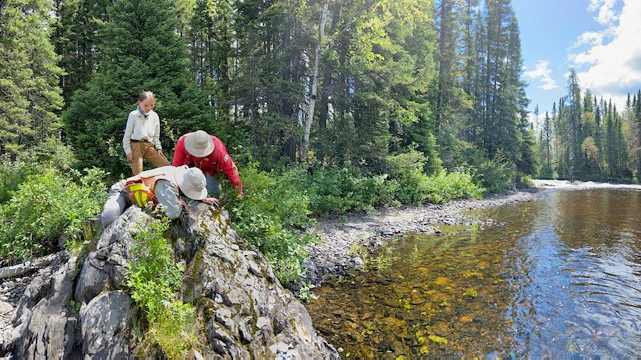 Des Roches Volcaniques En Abitibi Et Dans Le Nord Du Qu Bec Int Ressent