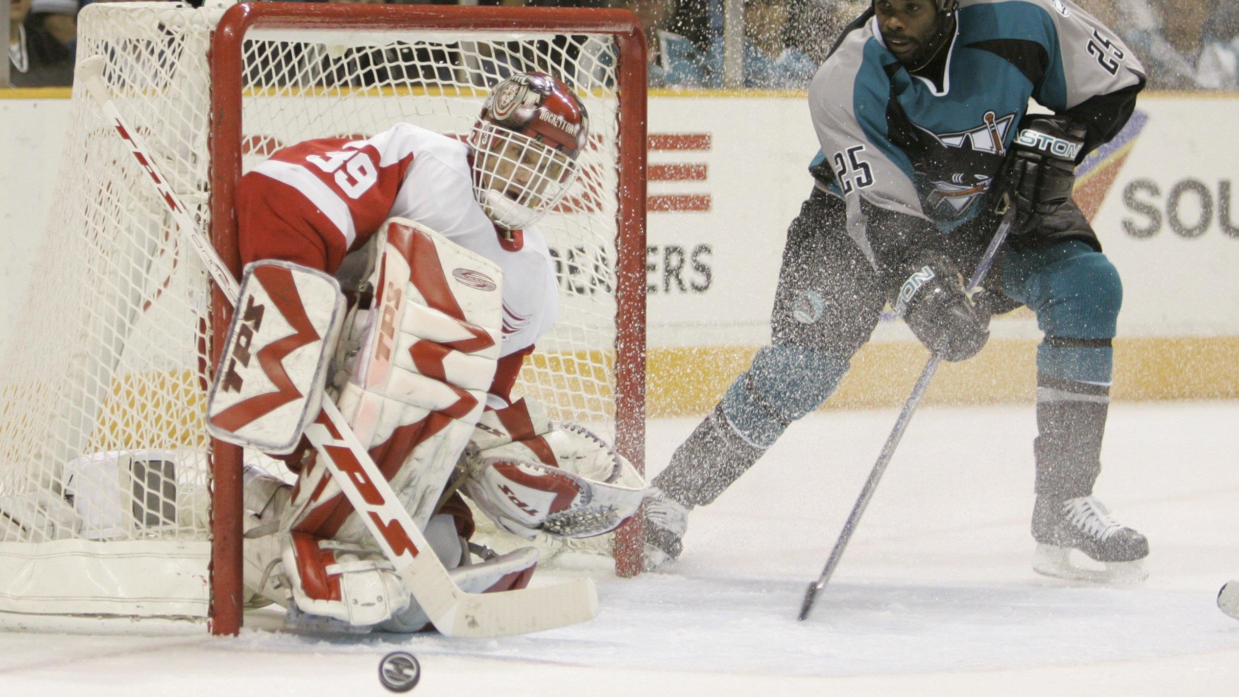 Dominik Hasek