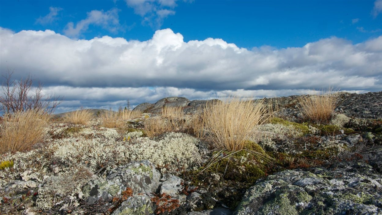 De la baie d’Hudson à la baie d’Ungava en solitaire