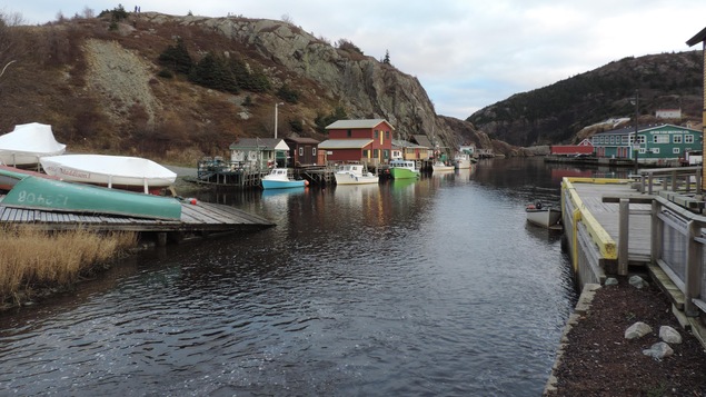 Des maisons au bord de l'eau à Terre-Neuve-et-Labrador