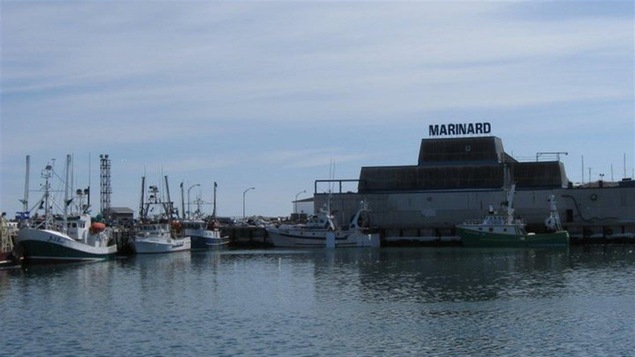 Le havre de pêche de Rivière-au-Renard quai Marinard bateaux usines