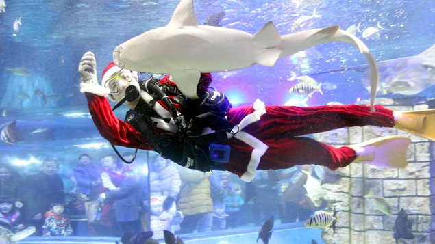 Un plongeur chinois déguisé en père Noël nourrit les poissons dans un aquarium à Suzhou dans la province de Jiangsu. Un plongeur chinois déguisé en père Noël nourrit les poissons dans un aquarium à Suzhou dans la province de Jiangsu.