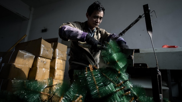 Un travailleur chinois coupe les branches d'un sapin artificiel dans une usine de Yiwu. Un travailleur chinois coupe les branches d'un sapin artificiel dans une usine de Yiwu.