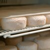 Plusieurs fromages alignés dans un réfrigérateur.