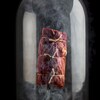 Une pièce de bœuf sous une cloche de verre avec de la fumée.