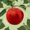 Une visuel montrant une main qui s'apprête à cueillir une pomme dans un arbre.