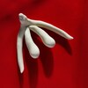 Forme anatomique d'un clitoris conçue avec une imprimante 3D.