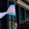 Le drapeau de la fierté transgenre