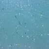Small plastic particles in the water.