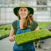 Une jeune agricultrice présente ses étalages.