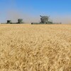 Des engins agricoles dans un champ.