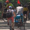 Des personnes à vélo dans une rue en été.