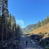 Une route forestière. A droite, des arbres ont été coupés.