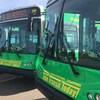 Trois autobus de couleur verte dans un stationnement.