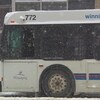 Un autobus de la Winnipeg Transit.