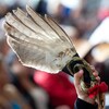 Une plume d'aigle sur laquelle est attachée un ruban rouge est tenue pendant les cérémonies entourant la publication du rapport de l'ENFFADA, le 3 juin dernier, à Gatineau. 