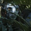 Deux personnages extraterrestres à la peau bleue sont camouflés derrière des fougères.