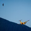 Un avion jaune Buffalo CC_15 vol au dessus d'une vallée et un faucon plane près de lui.
