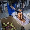 Un travailleur d'une banque alimentaire de Surrey prend des carottes dans ses mains, le 24 novembre 2022. 