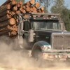 Un camion transportant du bois. 