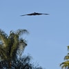 Un bombardier B-2 dans le ciel de Californie, en janvier 2025.