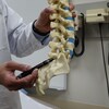 Un médecin pointe avec un stylo à une vertébrale sur une maquette de colonne vertébrale.