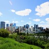 La ville de Calgary depuis un parc, avec en premier plan beaucoup de verdure.