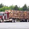 Un camion transportant du bois.