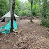 Des tentes et quelques objets éparpillés sur le sol dans la forêt.