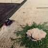 Vue aérienne d'un champ où un cratère a endommagé une partie des céréales.
