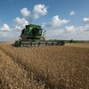 Un tracteur dans un champ de blé. 