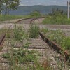 Une portion du chemin de fer avec des mauvaises herbes .