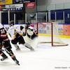 Les hockeyeurs en action