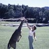 Une femme nourrit un chevreuil dans un parc des Laurentides en 1961.