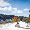 Deux personnes marchant au bord de la rivière Bow alors qu'il y a de la neige.

