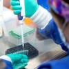 Une technicienne en biologie moléculaire prépare des échantillons de SRAS-CoV-2 dans le cadre du processus de séquençage de l'ARN à l'Université d'État de l'Ohio.