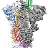 Voici la carte la structure moléculaire de la protéine de pic de 2019-nCoV. 
