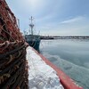 Des casiers pour la pêche au crabe sur un quai où des bateaux de pêche sont à l'eau.
