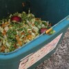 Une poubelle de compostage de déchets organiques avec des petits pois et autres légumes et fruits.