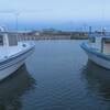 Des bateaux de pêche au homard, au quai de Petit-Cap.