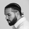 Drake pose de côté sur un fond blanc. 