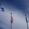 Les drapeaux franco-albertain, canadien et albertain.