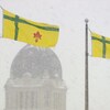 Deux drapeaux flottent dans le vent et la neige. En arrière-plan, on aperçoit le dôme du Palais législatif.