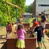 Les élèves de l'école Louis-de-France font pousser des légumes dans la cour d'école.
